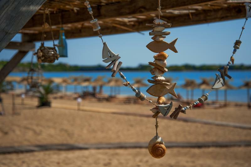 Black Sea Star Czernomorec Zewnętrze zdjęcie